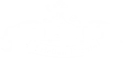 logo blanc DROUIN 1